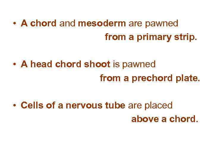  • A chord and mesoderm are pawned from a primary strip. • A