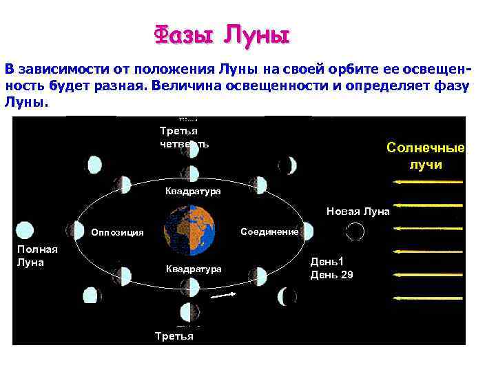 В какой фазе. Положение Луны. Зависимость от фаз Луны. Положения и фазы Луны. Сизигия и квадратура.