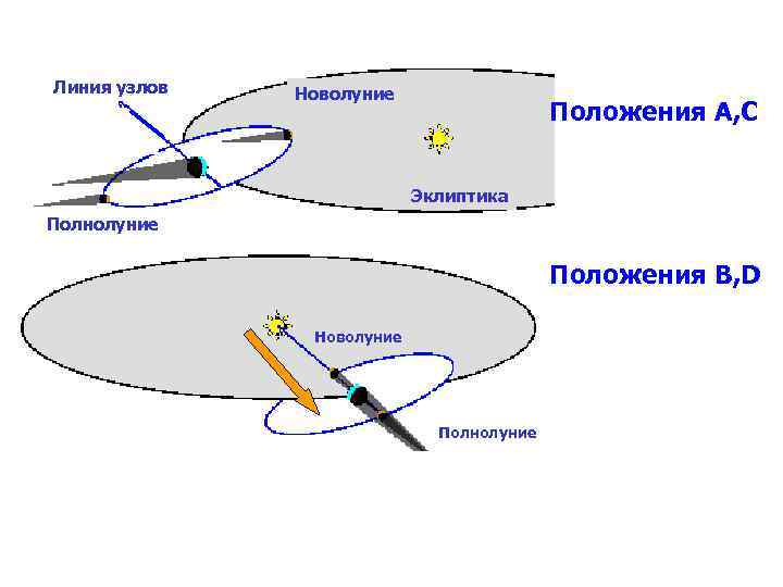 Линия узлов Новолуние Положения А, С Эклиптика Полнолуние Положения B, D Новолуние Полнолуние 