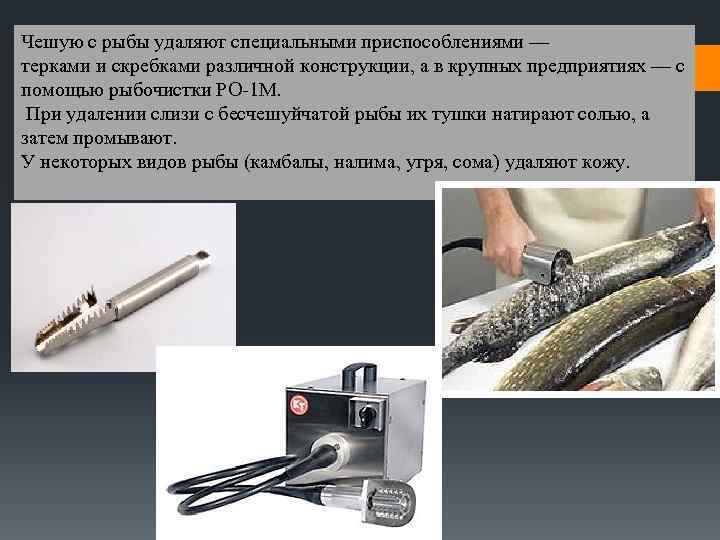 Чешую с рыбы удаляют специальными приспособлениями — терками и скребками различной конструкции, а в