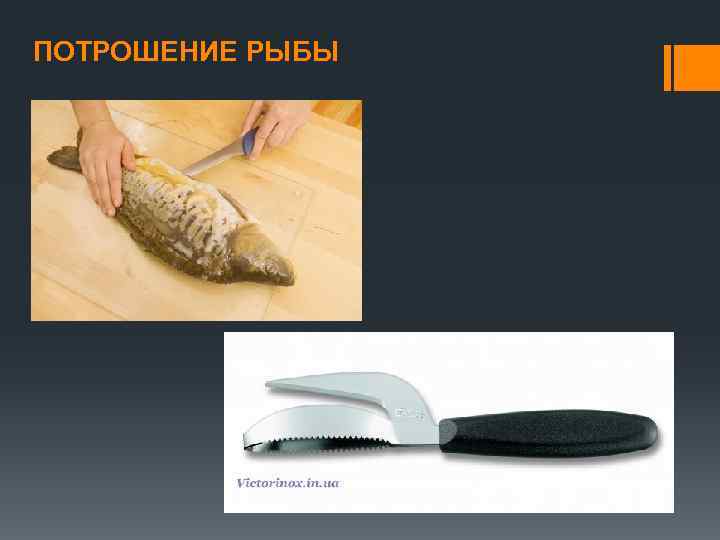 ПОТРОШЕНИЕ РЫБЫ 