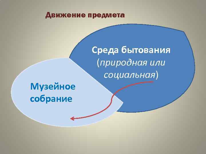 Движение предмета Музейное собрание Среда бытования (природная или социальная) 