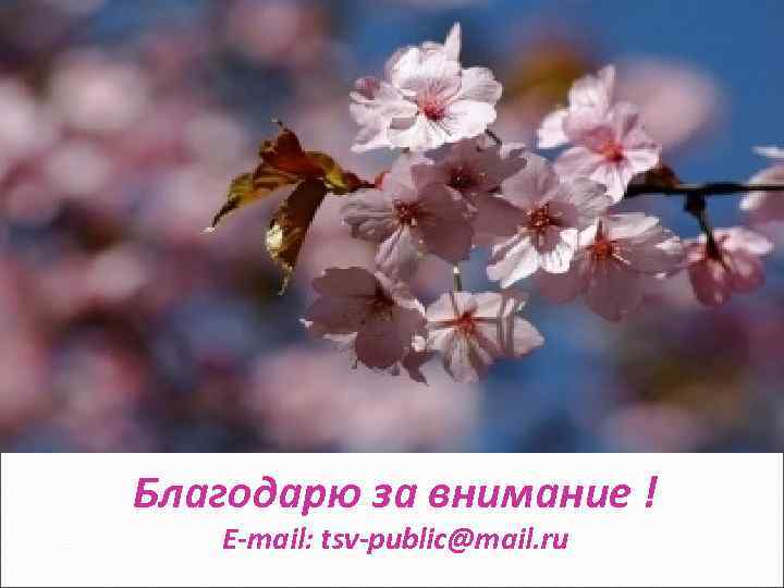 Благодарю за внимание ! E-mail: tsv-public@mail. ru 