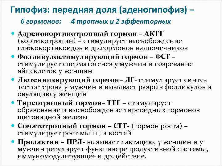 Гипофиз: передняя доля (аденогипофиз) – 6 гормонов: 4 тропных и 2 эффекторных Адренокортикотропный гормон