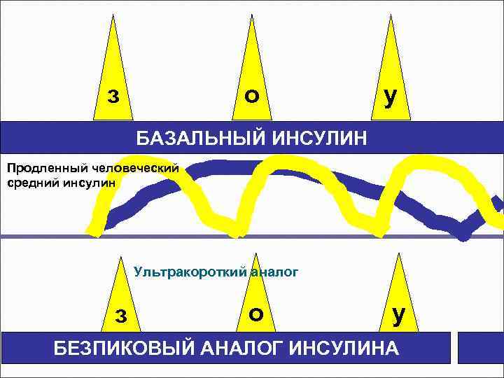 з о у БАЗАЛЬНЫЙ ИНСУЛИН Продленный человеческий средний инсулин Ультракороткий аналог з о у