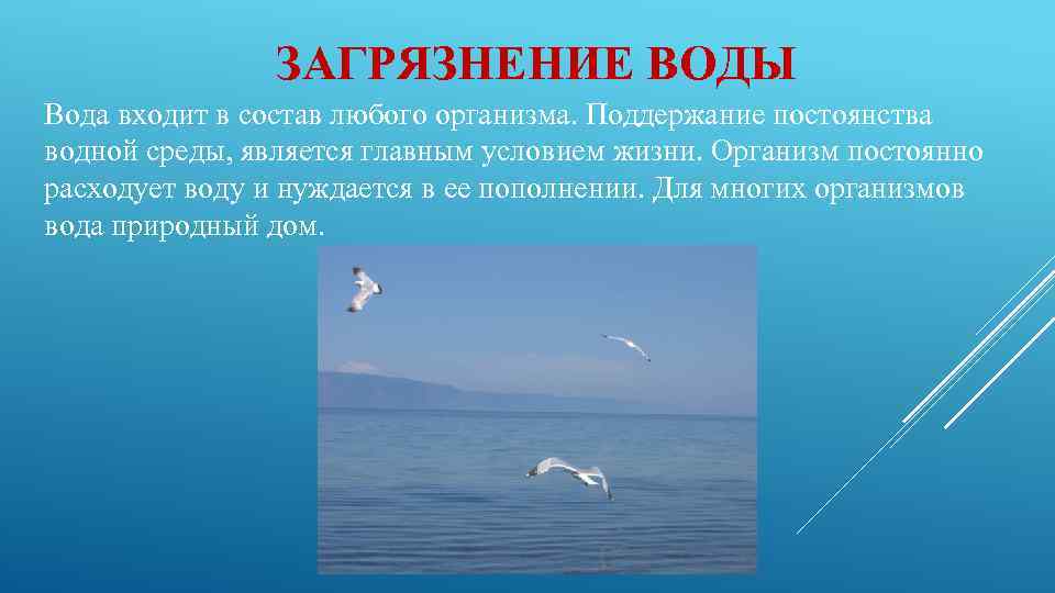 ЗАГРЯЗНЕНИЕ ВОДЫ Вода входит в состав любого организма. Поддержание постоянства водной среды, является главным