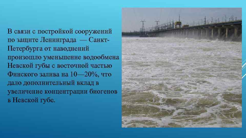 Проблемы санкт петербурга. Проблемы Санкт-Петербурга география. Проблемы Петербурга география. Проблемы Санкт-Петербурга география 9. Какие экологические проблемы в Санкт-Петербурге.