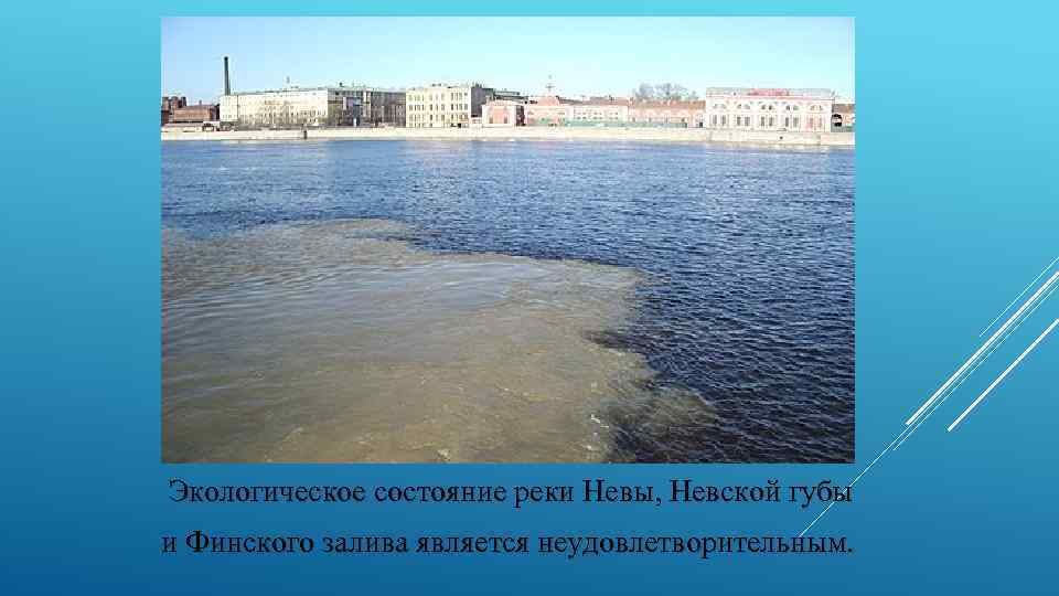 Как люди влияют на волгу. Экологическое состояние реки Невы. Экологические проблемы реки Нева. Экологическое состояние финского залива. Загрязнение воды СПБ.