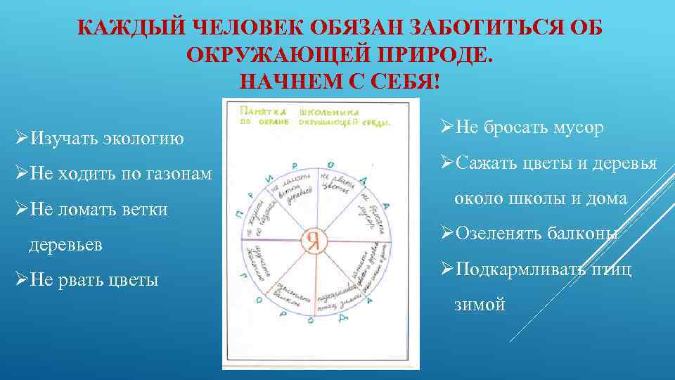 КАЖДЫЙ ЧЕЛОВЕК ОБЯЗАН ЗАБОТИТЬСЯ ОБ ОКРУЖАЮЩЕЙ ПРИРОДЕ. НАЧНЕМ С СЕБЯ! ØИзучать экологию ØНе ходить