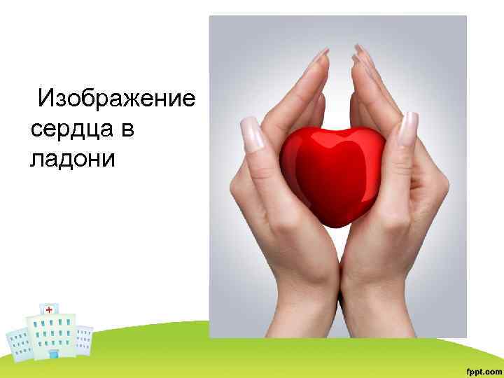 Изображение сердца в ладони 