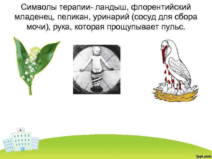 Символы терапии- ландыш, флорентийский младенец, пеликан, уринарий (сосуд для сбора мочи), рука, которая прощупывает