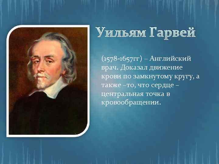 Уильям Гарвей (1578 -1657 гг) – Английский врач. Доказал движение крови по замкнутому кругу,