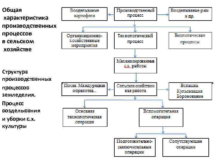 Общая характеристика производственных процессов в сельском хозяйстве Структура производственных процессов земледелия. Процесс возделывания и