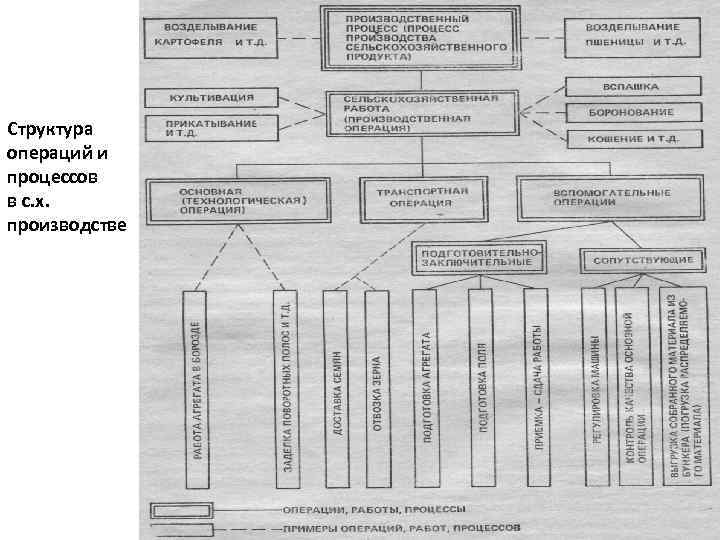 Структура операций и процессов в с. х. производстве 