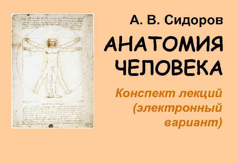 Лекции по анатомии. Анатомия конспекты. Конспект по анатомии человека. Конспекты лекций по анатомии. Конспекты лекций по анатомии физиологии.