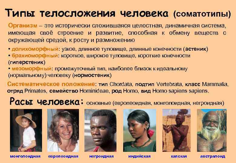 Расовые различия людей. Европеоидная и негроидная раса. Европеоидная монголоидная негроидная раса таблица. Люди европеоидной и монголоидной расы. Современные расы.