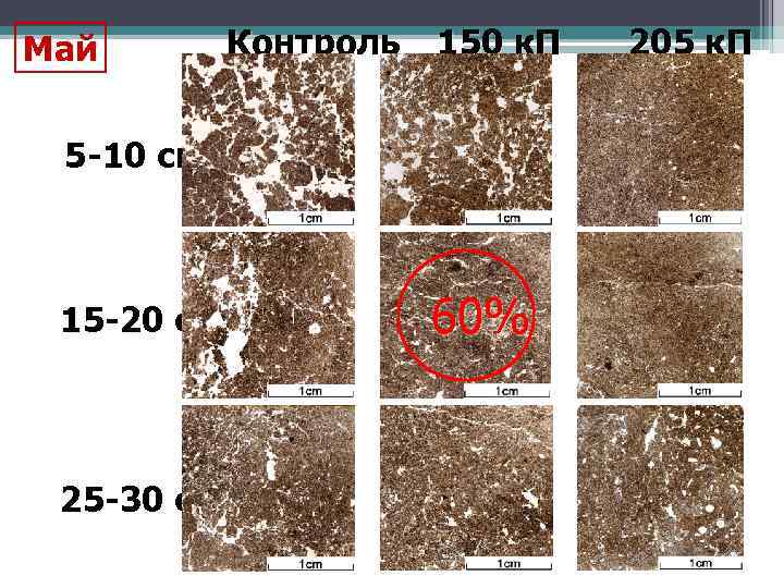 Май Контроль 150 к. П 5 -10 см 15 -20 см 25 -30 см