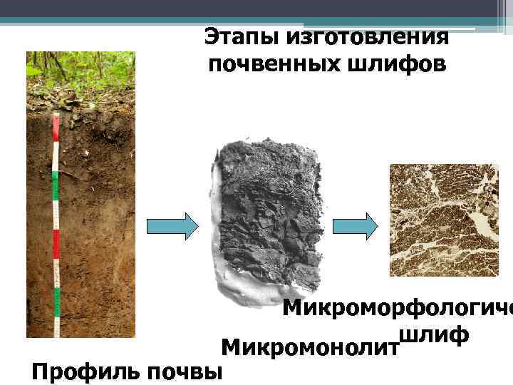 Этапы изготовления почвенных шлифов Микроморфологиче шлиф Микромонолит Профиль почвы 