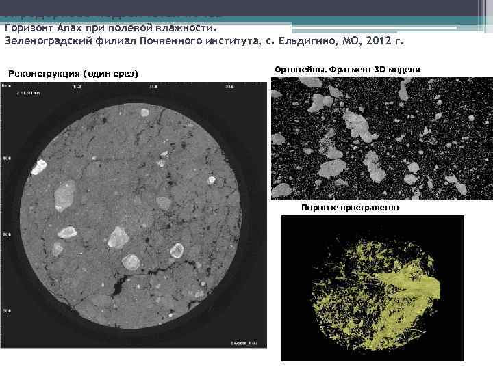 Агродерново-подзолистая почва Горизонт Апах при полевой влажности. Зеленоградский филиал Почвенного института, с. Ельдигино, МО,