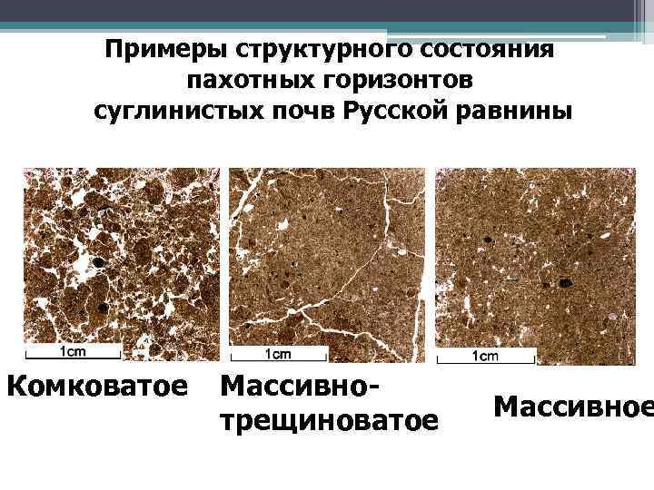 Примеры структурного состояния пахотных горизонтов суглинистых почв Русской равнины Комковатое Массивнотрещиноватое Массивное 