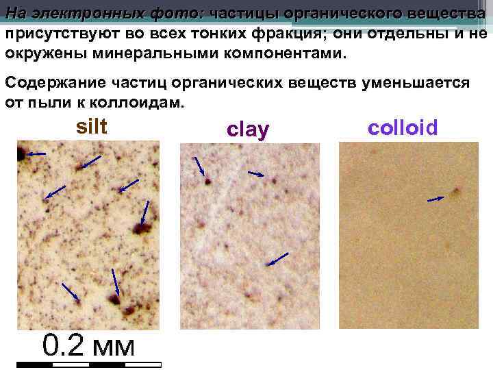 На электронных фото: частицы органического вещества присутствуют во всех тонких фракция; они отдельны и