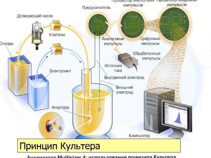 Принцип Культера 