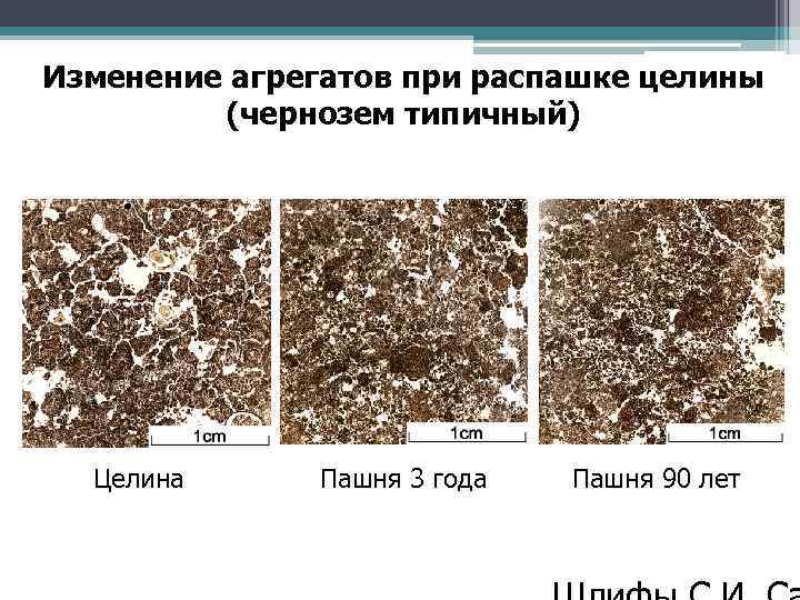 Изменение агрегатов при распашке целины (чернозем типичный) Целина Пашня 3 года Пашня 90 лет