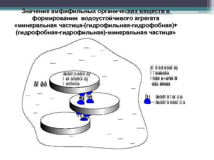 Значение амфифильных органических веществ в формировании водоустойчивого агрегата «минеральная частица-(гидрофильная-гидрофобная)+ (гидрофобная-гидрофильная)-минеральная частица» 