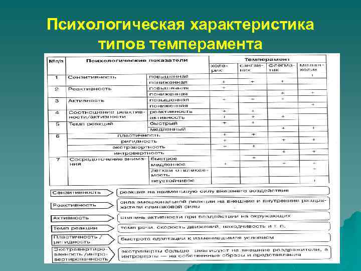 Возможно ли изготовление комплекта офисной мебели по эскизу заказчика