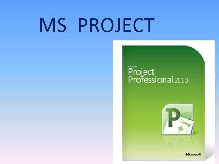 MS PROJECT 