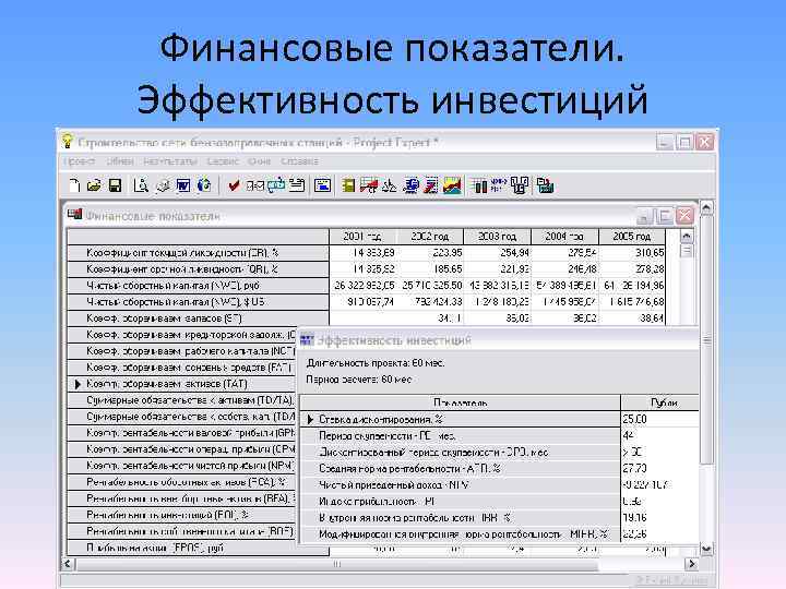 Финансовые показатели. Эффективность инвестиций 