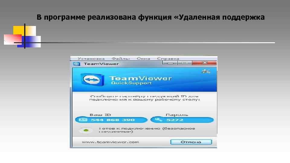 В программе реализована функция «Удаленная поддержка 