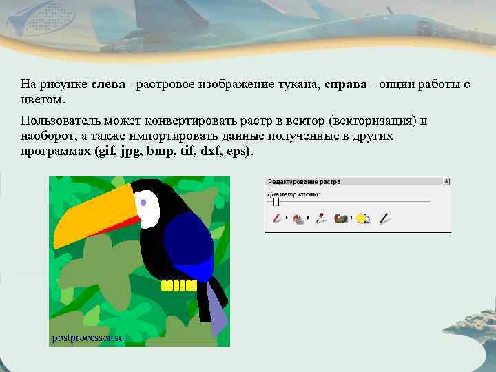 На рисунке слева - растровое изображение тукана, справа - опции работы с цветом. Пользователь