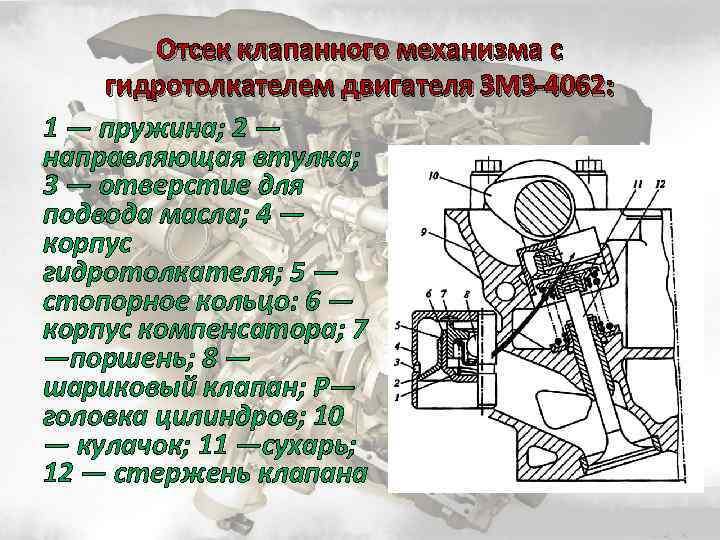 Механизм предназначен для. Отсек клапанного механизма с гидротолкателем двигателя ЗМЗ-4062. Газораспределительный механизм служит для своевременного. Возникновением «клапанного механизма». Назначение ГРМ двигателя ЗМЗ 4062.