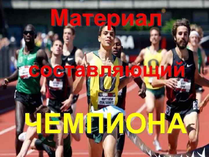Материал составляющий ЧЕМПИОНА 