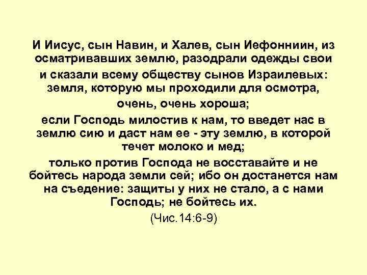 И Иисус, сын Навин, и Халев, сын Иефонниин, из осматривавших землю, разодрали одежды свои