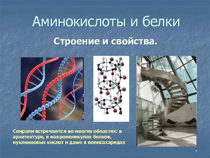 Аминокислоты и белки Строение и свойства. Спирали встречаются во многих областях: в архитектуре, в