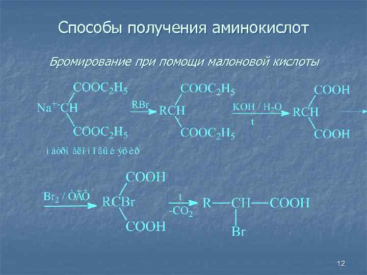 Способы получения аминокислот Бромирование при помощи малоновой кислоты 12 