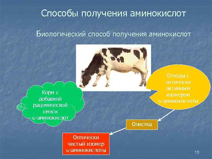 Способы получения аминокислот Биологический способ получения аминокислот Корм с добавкой рацемической смеси -аминокислот Оптически