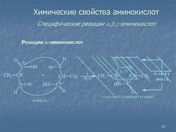 Химические свойства аминокислот Специфические реакции , , -аминокислот Реакции -аминокислот 22 