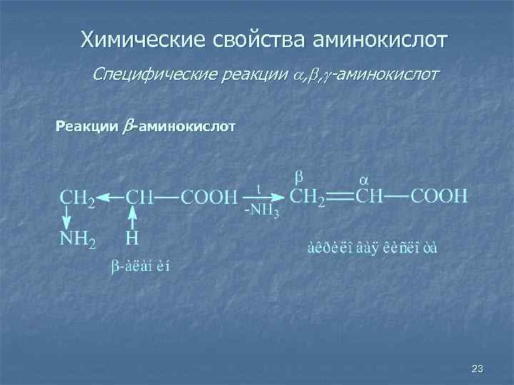 Химические свойства аминокислот Специфические реакции , , -аминокислот Реакции -аминокислот 23 