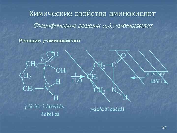 Химические свойства аминокислот Специфические реакции , , -аминокислот Реакции -аминокислот 24 