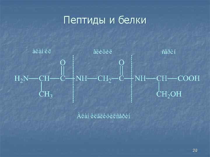 Пептидные белки. Пептиды и белки. Пептиды и белки химия. Серин пептид. Аланил пептид.