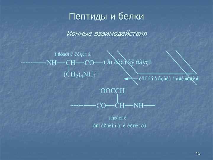 Пептиды и белки Ионные взаимодействия 43 