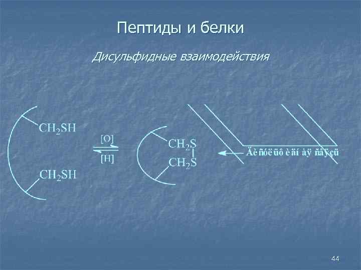 Пептиды и белки Дисульфидные взаимодействия 44 