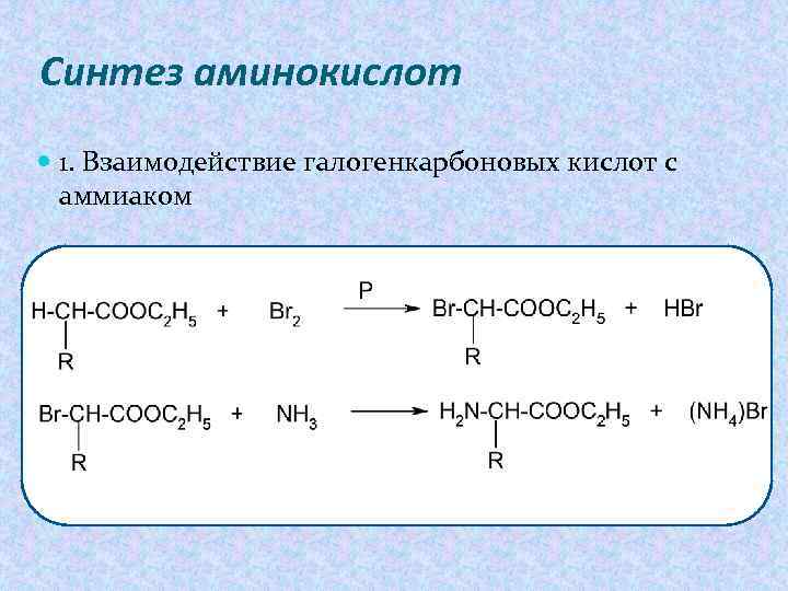 Получить взаимодействием. Аминокислота и аммиак реакция. Взаимодействие аминокислот с аммиаком реакция. Синтез аминокислот. Аминокислоты с аммиаком.