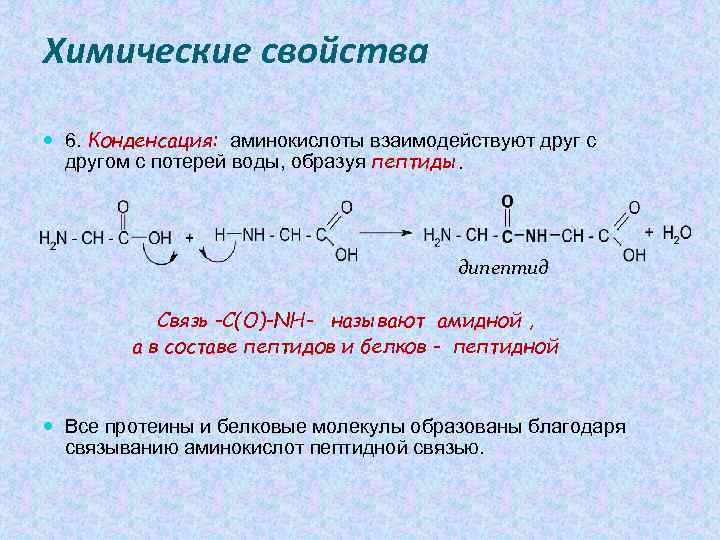 При поликонденсации глюкозы образуется. Химические свойства аминокислот поликонденсации. Химические свойства пептидов.