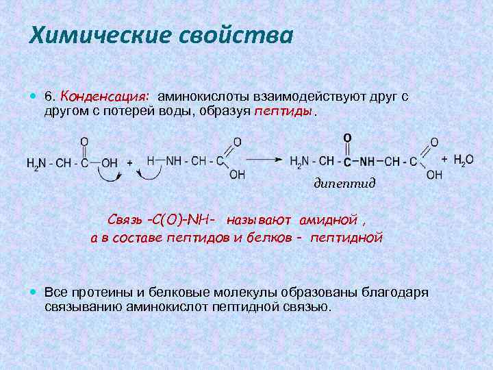 Схема реакции поликонденсации аминокислот в полипептид