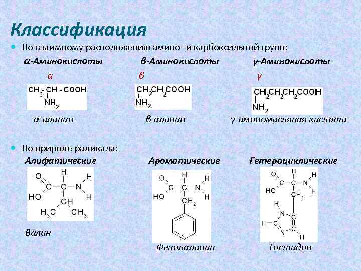 Аминокислоты строение и классификация