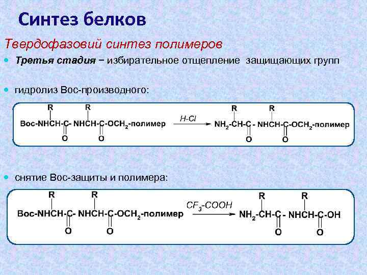 Синтез белков Твердофазовий синтез полимеров Третья стадия − избирательное отщепление защищающих групп гидролиз Вос-производного: